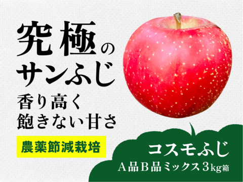 【究極のサンふじ】コスモふじ 3キロ箱 商品ID52651 長野県 信州 安曇野 リンゴ 幻 幻のリンゴ 予約 希少 旬 甘い ふじ サンふじ 6玉〜15玉サイズ