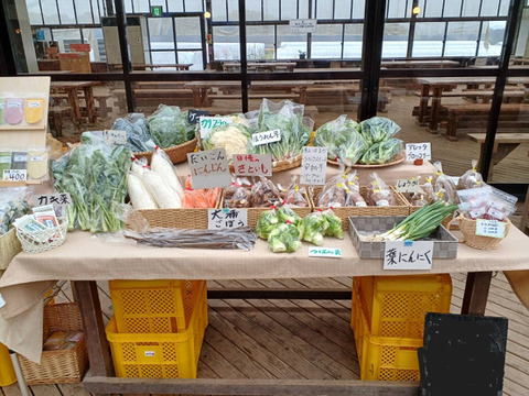 安心・安全な旬のおまかせ野菜セット　７～８種類