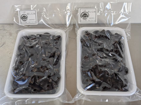『とれたて新鮮』十三湖産大和しじみ　中サイズ500ｇ×2Ｐ