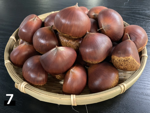 宮崎県産 栗 約10キロ 品種 筑波 c 丹波くり 晩生 「筑波」 希少4L