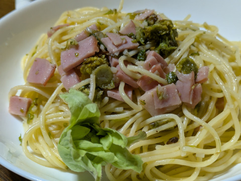 春一番ふきのとう単品