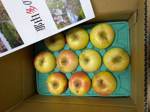 食べた時の甘みが病みつきになる！家庭用ぐんま名月3kg