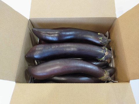 訳アリ品！ふわとろ長なす3kg