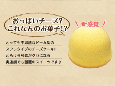 【ギフトにも♪♪】ふんわりふるふる！おっぱいチーズケーキSサイズ 1個　食べチョク