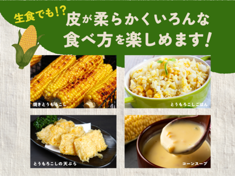 わくわくコーン8本 スイートコーン とうもろこし 7月26日から収穫分 予約 3キロ箱使用 商品ID96585
