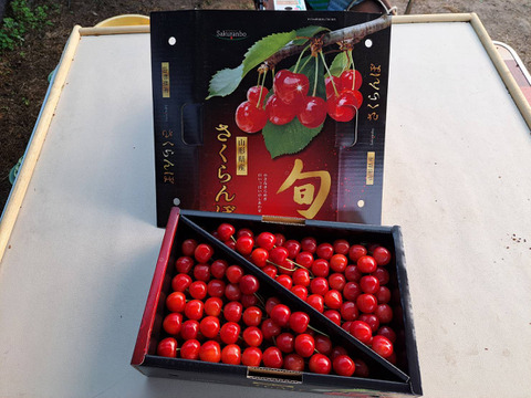 さくらんぼ『佐藤錦 』甘いよ！ピュアでかわいい！Ｌサイズ･バラ詰め 1kg×2