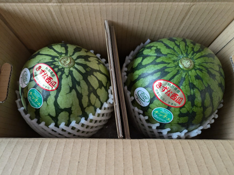 小玉すいか　あきた夏丸チッチェ２L２玉（１玉 約３㎏）