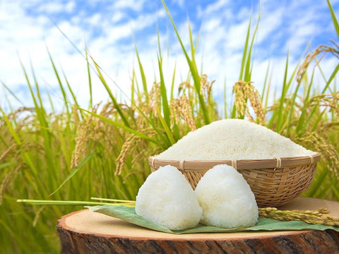 【四万十清流育ち】おばあちゃんが泣いた品種登録にない幻のお米「四万十村」３ｋｇ 農薬不使用 自然栽培 四万十産