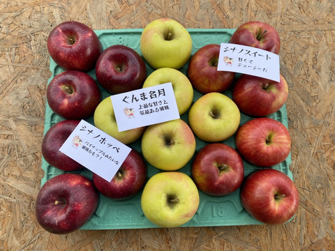 ミックスりんごBOX第3弾】信州安曇野産りんご3品種詰め合わせ5kg家庭