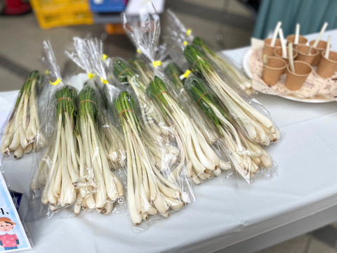 エシャレット（若採りらっきょう）シャキシャキ食感 味噌つけてそのまま丸かじり茨城県産 30本束（農薬・化学肥料・除草剤・防虫剤不使用）