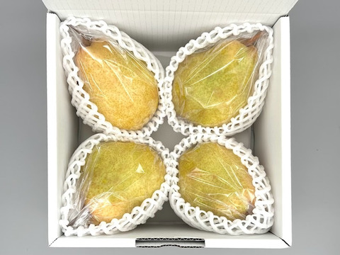 ジューシー・なめらか・濃厚！西洋梨《シルバーベル》 約2kg 4～6玉入 光センサーで糖度14度以上を確認済