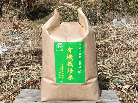 有機JAS認証【農薬不使用「ぴかまる」白米5kg】美味しくもちもち柔らか 2025年兵庫県産「タガメの里・自然米」