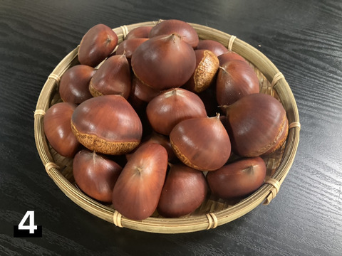 完全無農薬　丹波産　丹波栗　4L以上　1kg 自然栽培】3L～4Lサイズ！！ 大人気の丹波 栗1kg✨：静岡県産の