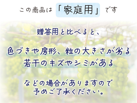 花笑み農園　岡山のシャインマスカット約２kg（３～５房）家庭用【9/23～順次発送】S-2家