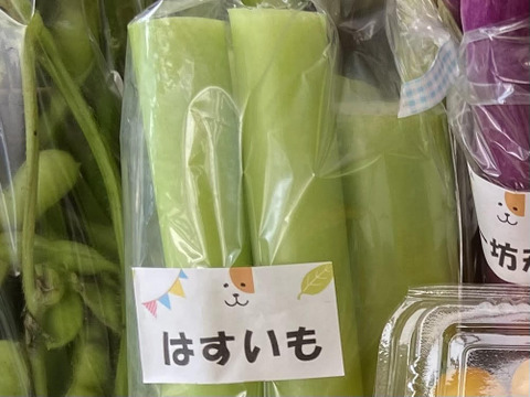 【はすいも】🥗８０サイズ箱いっぱい