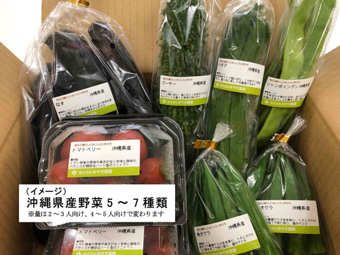 沖縄県産 おまかせ野菜セット（野菜5～7種類(２～３人向け））