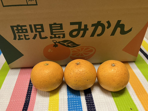 鹿児島県産「清見オレンジ」5㎏＋オマケ2種