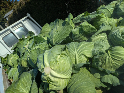 ❄️☃️冬の野菜セット☃️❄️