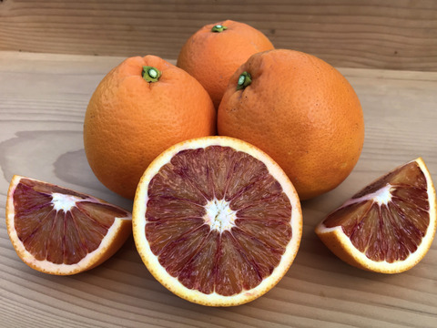 【農薬不使用】ブラッドオレンジ（タロッコ種）　5㎏