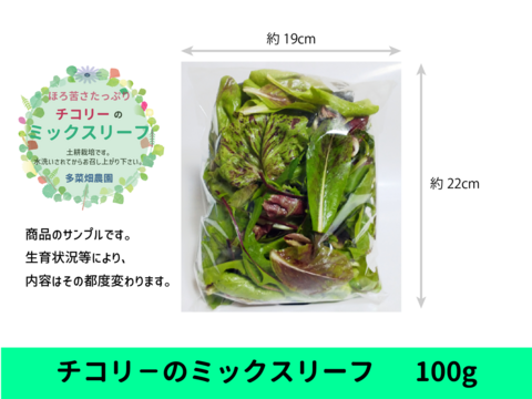 ノリコ様の野菜詰め合わせ RiZKiZ ままごと フルーツ野菜セット 野菜 フルーツ 詰め合わせ