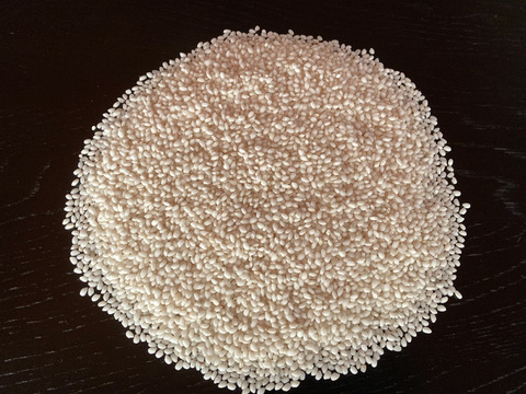 【自然栽培】ハッピーヒルもち米　精米950ｇ　農薬不使用・無肥料栽培　令和７年　岐阜県産【クリックポスト発送】