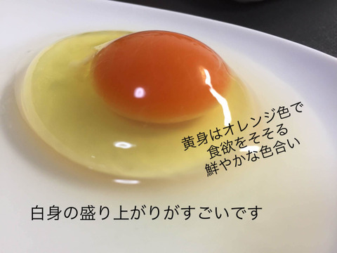 【期間限定：平飼い初たまご20個】酵母を与えて育った平飼いたまご（元気たまご）