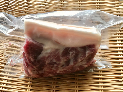 特Aクラス🏆✨イノシシ《ジビエ》【希少❣️猪肉肩ロース 380g ブロック】260303-5