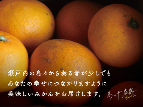 きよみ 島のね農園【愛媛みかん/木成り完熟/サイズ混合/5kg】