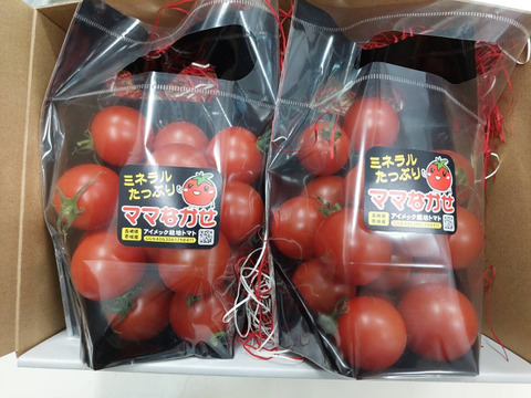 【お歳暮・ギフト用梱包】ミネラルたっぷりトマト『ママなかせ』0.8kgまた買って買ってと子供がママにおねだりする「ママ泣かせ」のトマトです。アイメック農法と豊かな自然で育まれた自慢のトマトです！