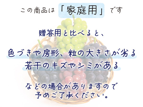 花笑み農園　岡山のぶどう4種食べ比べ『シャイン＋厳選３種』約2kg（4房）家庭用【9/16～順次発送】4M-2家