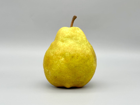 ジューシー・なめらか・濃厚！西洋梨《シルバーベル》 約2kg 4～6玉入 光センサーで糖度14度以上を確認済