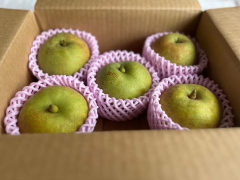 むせるほど甘い幻の梨【秀玉】【山形県産】2kg(４～６玉)