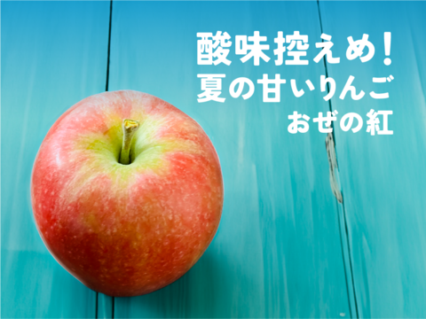 【新グンマーリンゴ】おぜの紅  3キロ箱 6玉〜15玉サイズ商品ID162360 長野県 信州 安曇野 リンゴ 幻 幻のリンゴ 予約 希少 旬