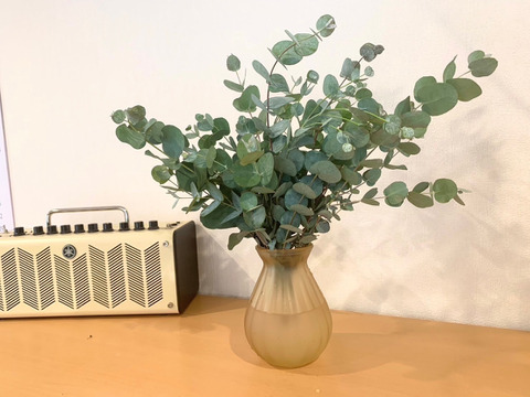 【フレッシュ産地直送！】ユーカリ　10本（30〜50cm）