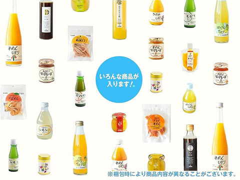 【ゲン担ぎ福袋】福箱 (人気のみかんジュース・ゼリー他バラエティセット) 　fb-s