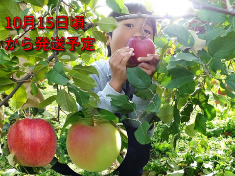 【甘い系りんご2種の食べ比べ】ぐんま名月＆シナノスイート　3キロ箱（3.2キロほど入ります）【JA基準より60％減の低農薬栽培】