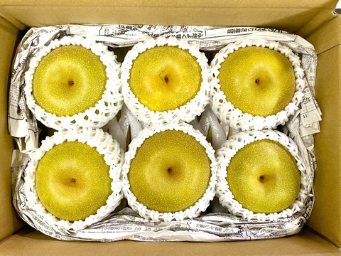 令和7年8月発送【予約】梨 幸水 良品2.2kg‼️ 長野県産