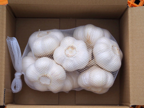 素揚げが大好評！田子町産にんにく【お試し5玉】7月中旬以降お届け