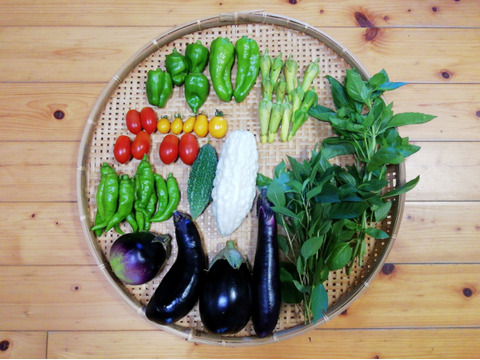 【農薬・化学肥料不使用】花オクラ入り野菜セット【６～８種類の野菜】【食べ方説明書付き】【金曜日クール便で発送】【あわせ買い可】【熨斗(のし)対応可】【８０サイズ箱】