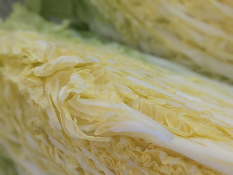 ❄☃️７品冬の野菜セット☃️❄