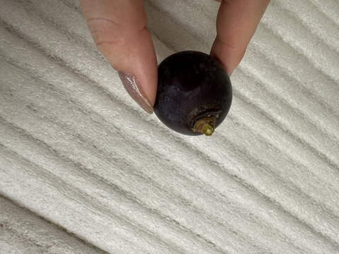 【訳あり】山梨県産藤稔 粒パック300ｇ×4個