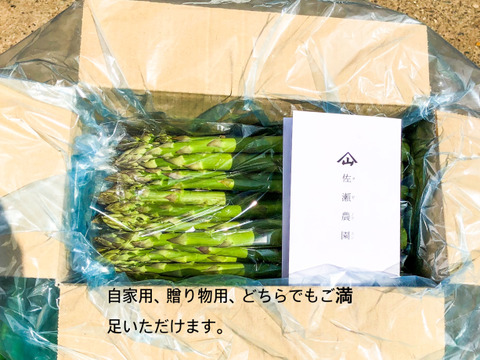爽やかな夏の味✨会津産　佐瀬農園の笑顔になれるアスパラガス　Lサイズ(中太)　1キロ　レンジで簡単調理袋付き
