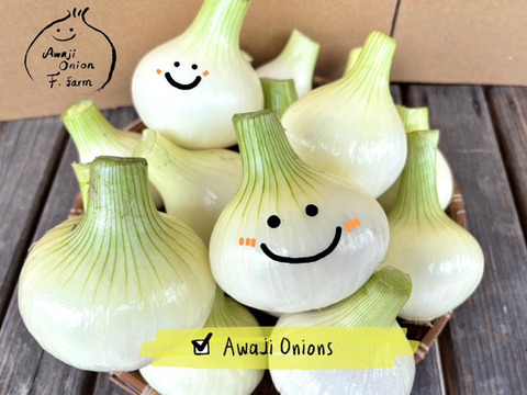 サイズ色々！淡路島産極早稲玉ねぎ5kg