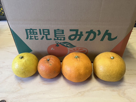 鹿児島県産「4種のみかん柑橘詰め合わせ」【柑橘食べ比べ】箱込み5㎏