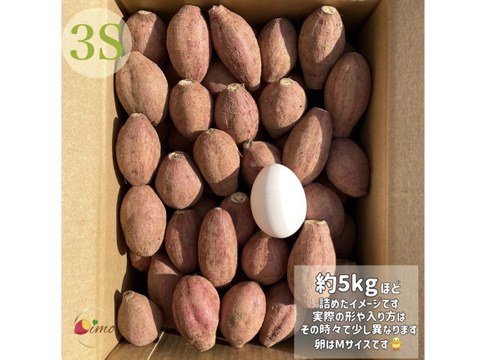 種子島産安納芋 3S&2S 混合サイズ 3kg｜甘くて濃厚🍠｜aimo農園直送