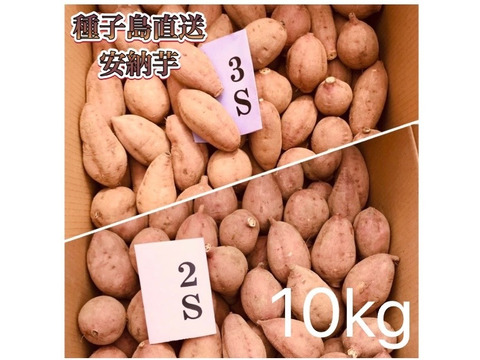 【絶品】種子島産 安納芋 3S&2S 混合10kg(箱別)
