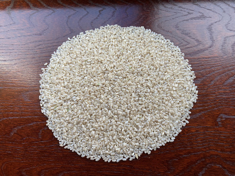 【自然栽培】あきたこまち玄米１０kg　農薬不使用・無肥料栽培　令和５年　岐阜県産
