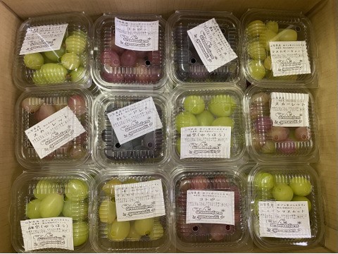 【朝どれ】【先行予約】【9月からお届け:お得な1.2kg！】ブドウミックス粒200gパック〜シャインマスカット入り〜(1セット6パック1.2kg)