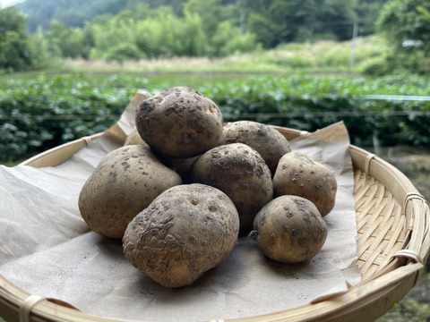 訳ありお買い得！山育ちジャガイモ『きたあかり』2kg◎農薬化学肥料不使用