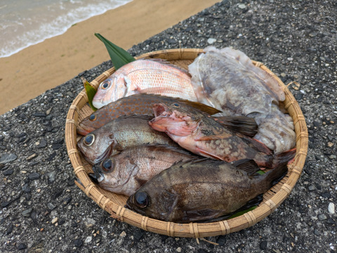 漁師のおかずセット（本品本日限り）